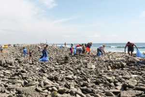 Wohnungen zu vermieten Bonaire - Reinigung der Küste