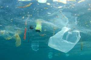 Wohnungen zu vermieten Bonaire-Plastiksuppe