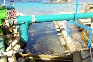Apartmenten te huur Bonaire -waterproductie